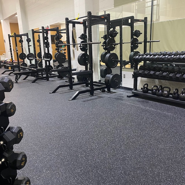 A wellness gym that contains various weights and fitness equipment