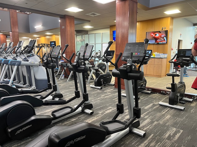Several Elliptical machines in a line within a large fitness room